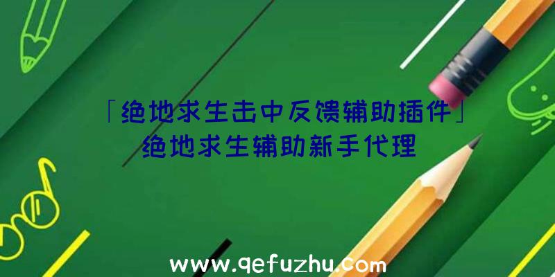 「绝地求生击中反馈辅助插件」|绝地求生辅助新手代理